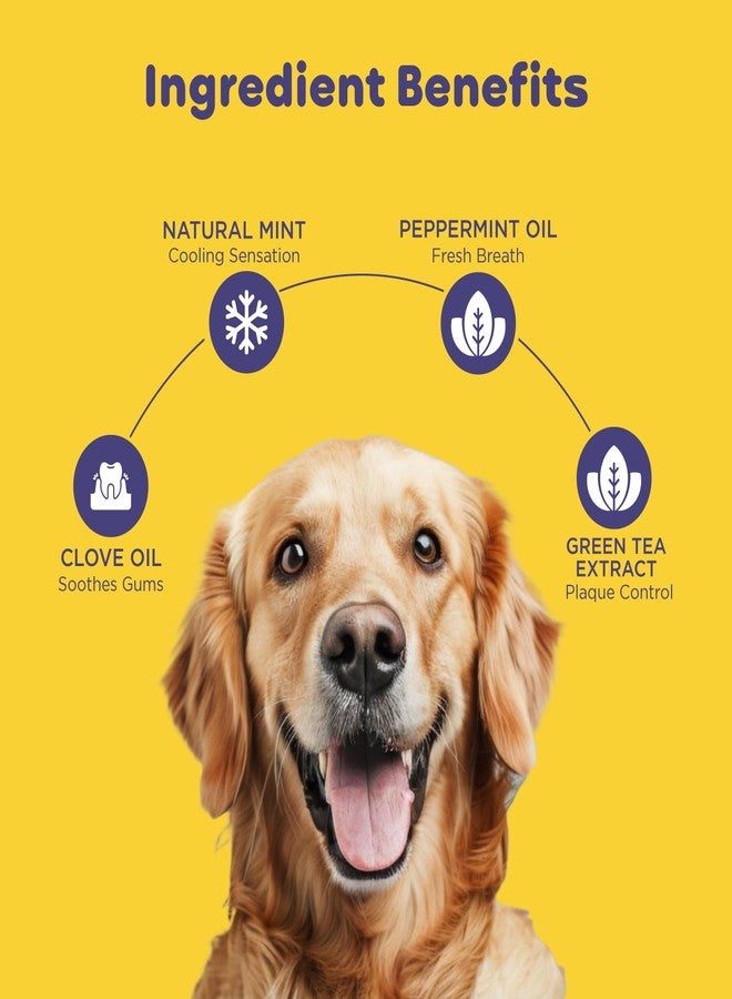 pil Pet Denta Gel Toothpaste for Dog & Cat with Mint, Green Tea Extract & Clove Oil |Fights Gum Diseases, Removes Plaque & Controls Bad Breath| Squeeze Only- No Brushing, No Rinsing (100Gm). - Image 3